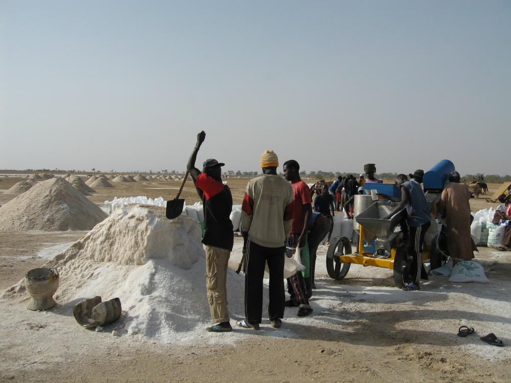 - Nutrition International Senegal is West Africa's largest salt producer, meeting the salt needs domestically and regionally. MI supports salt producers in Senegal to adequately iodize their salt.