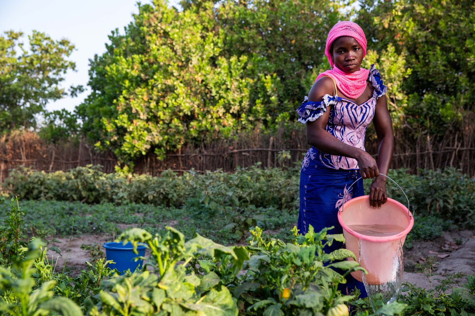 awa-diao-senegal-woman-garden-PINKK - Nutrition International