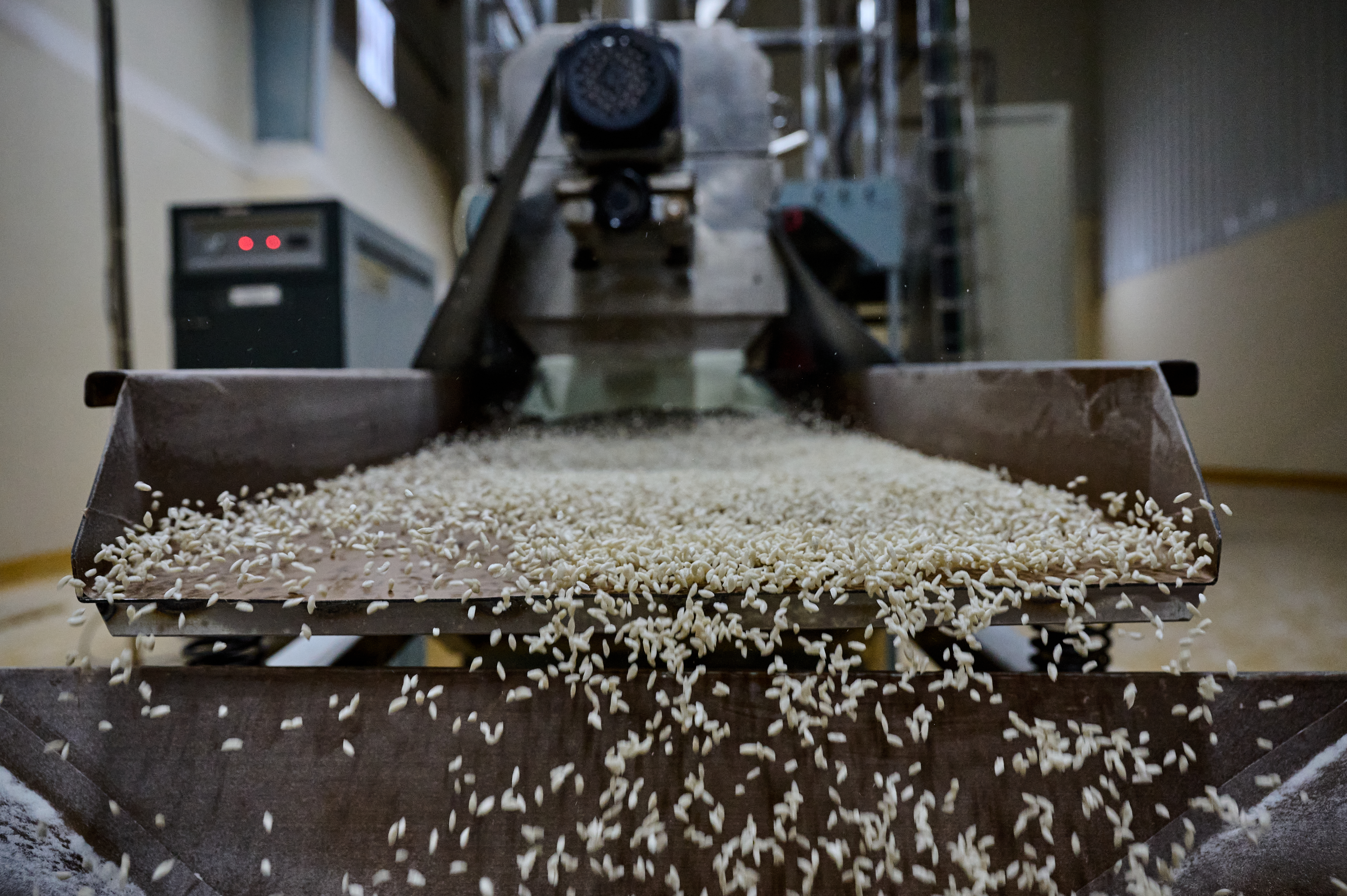 0039-NI-BD-19-11-2022-sujanmap - Nutrition International Fortify rice kernals fly off of a cooling machine in a factory in Bangladesh.
